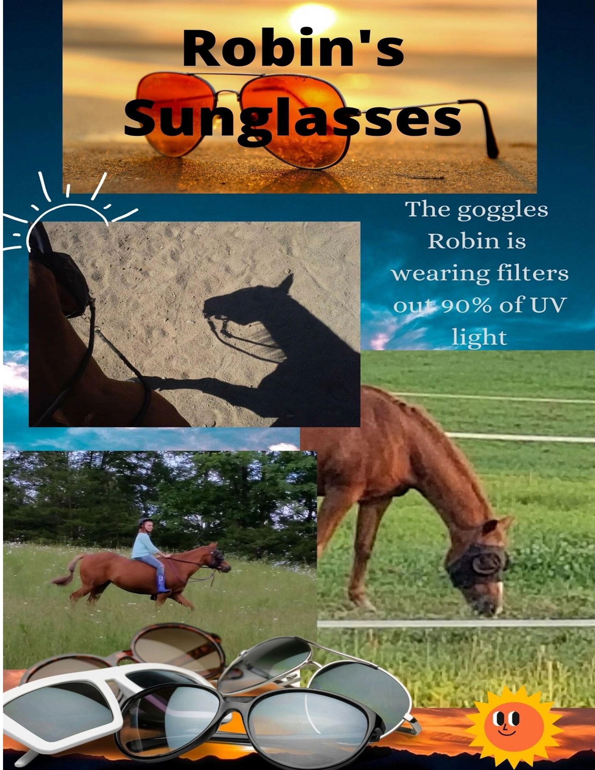 Sunglasses For A Horse?